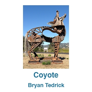 Coyote by Bryan Tedrick