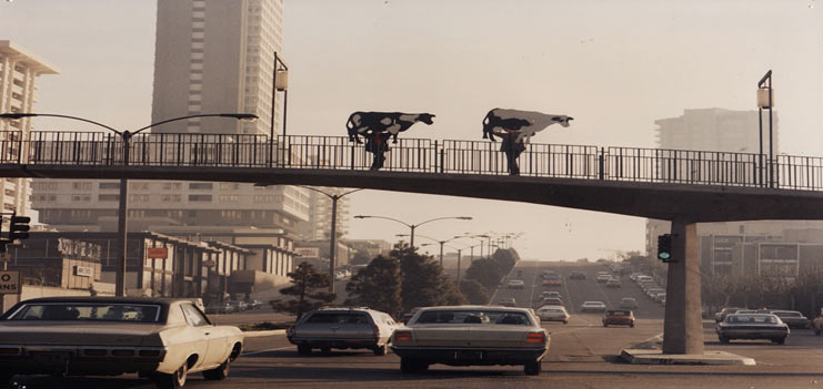 Cows on Bridge