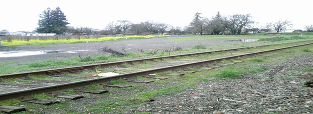 'Train Tracks