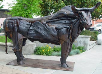 Bull by Bryan Tedrick
